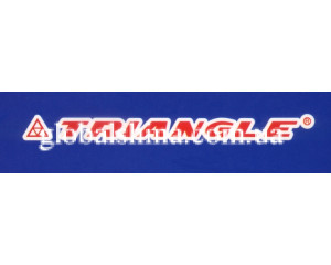 Triangle TTM-D28 (ведущая) 12.00 R20 156/153J PR20
